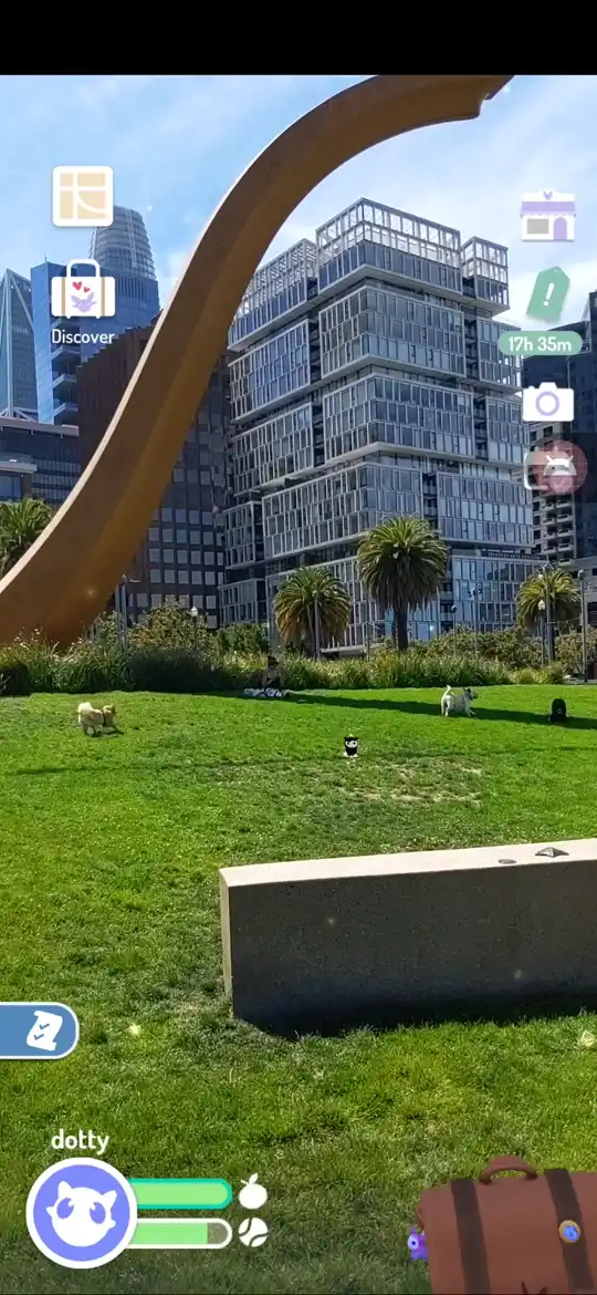 A circle traced onto a lawn, after which the pet digs there and returns a grass-specific find