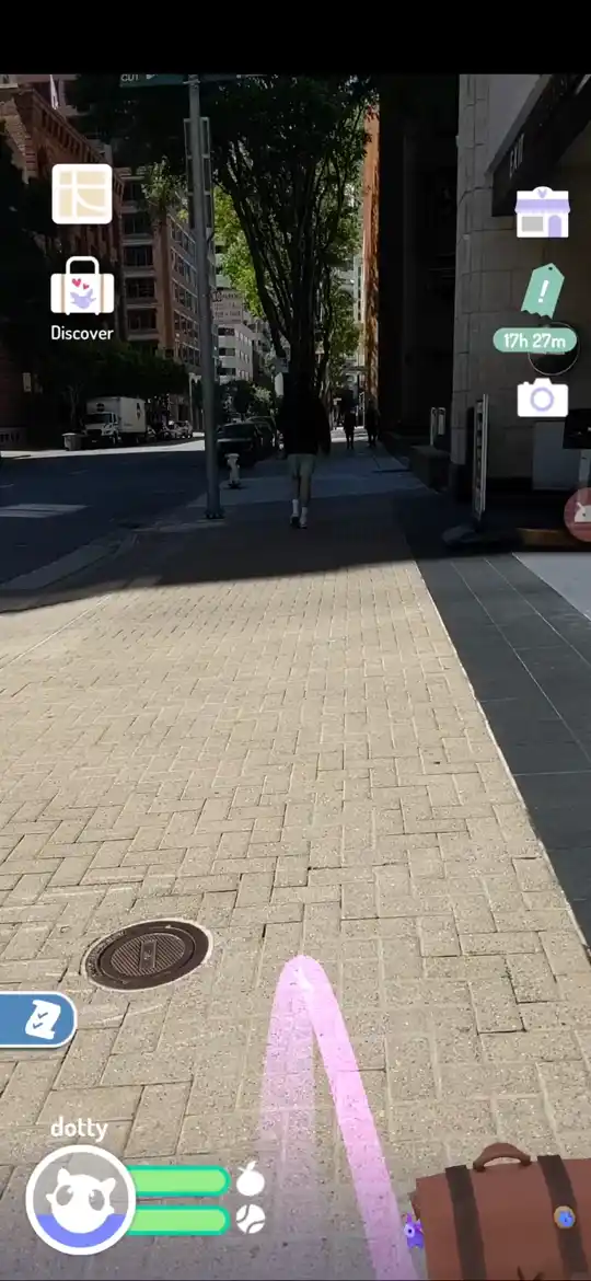 The pet trotting ahead of the camera down a tree-lined sidewalk